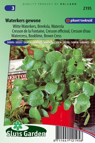 Waterkers Gewone - Nasturtium officinale