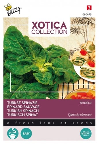 Turkse Spinazie America - Xotica Collection