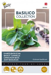 Kaneel Basilicum - Basilico Collection