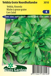 Veldsla Grote Noordhollandse - Valerianella locusta