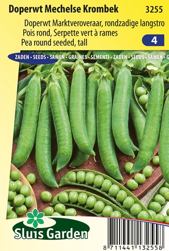 Erwt Rondzadig Mechelse Krombek - Pisum sativum