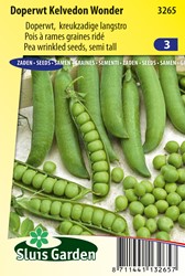 Erwt Kreukzadig Kelvedon Wonder - Pisum sativum