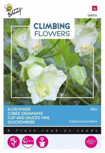 Klokwinde Alba - Climbing Flowers