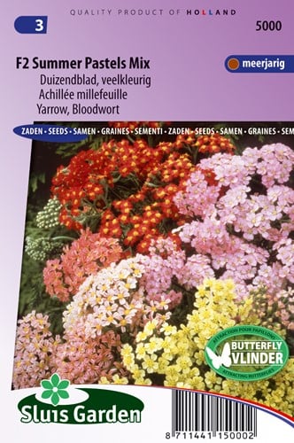 Duizendblad Summer Pastels F2 mix - Achillea