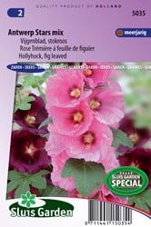 Stokroos Antwerp Stars enkelbloemige mix - Alcea ficifolia