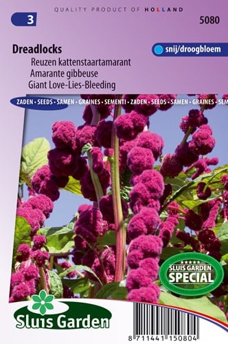 Kattenstaartamarant Dreadlocks - Amaranthus