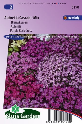 Aubretia Mix, Blauwkussen