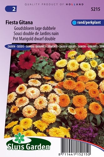 Goudsbloem Fiesta Gitana mix - Calendula