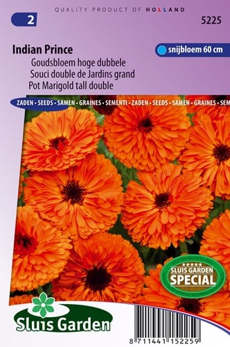 Goudsbloem Indian Prince, dubbelbloemig - Calendula