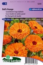 Goudsbloem Ball's Orange - Calendula