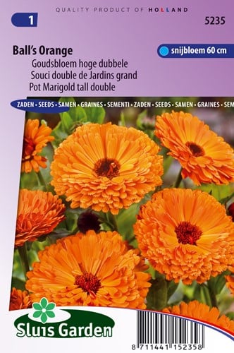 Goudsbloem Ball's Orange - Calendula