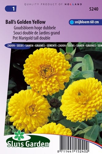 Goudsbloem Ball's Golden Yellow - Calendula