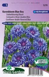 Korenbloem Blue Boy, dubbelbloemig