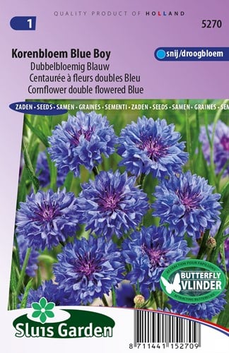 Korenbloem Blue Boy, dubbelbloemig