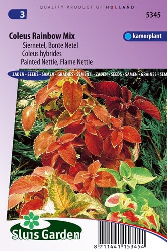 Siernetel Rainbow mix, Market Growers quality (Coleus)
