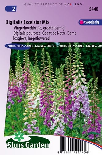 Vingerhoedskruid Excelsior mix