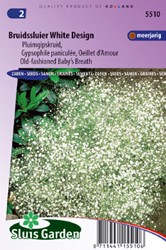 Bruidssluier White Design - Gypsophila