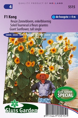 Zonnebloem F1 Kong