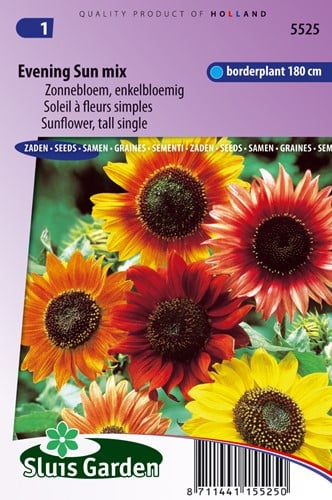 Zonnebloem Avondzon mix