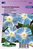 Klimmende Winde Flying Saucer - Ipomoea