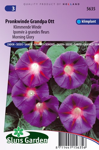 Klimmende Winde Grandpa Ott (Ipomoea)