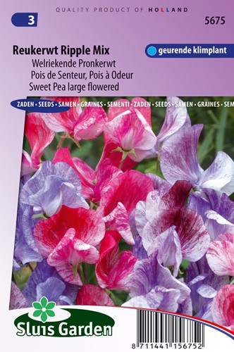 Reukerwt Ripple Formula mix (Lathyrus)