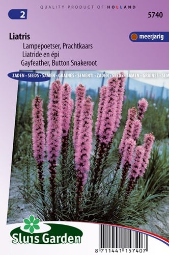 Lampepoetser Prachtkaars - Liatris