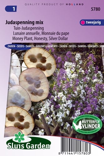 Judaspenning gemengd - Lunaria