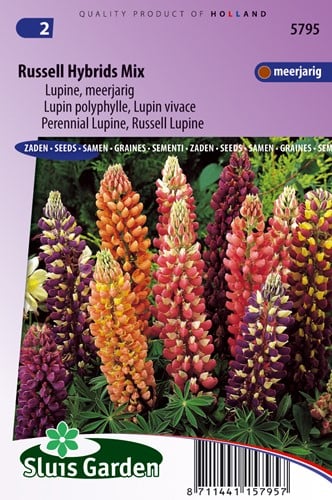 Lupinus Russell Hybrids Mix - Lupinus