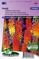 Fakkellelie Rood en Geel - Vuurpijl - Kniphofia