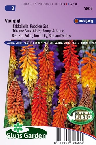 Fakkellelie Rood en Geel - Vuurpijl - Kniphofia