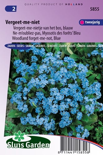 Vergeet me niet Indigo Blue