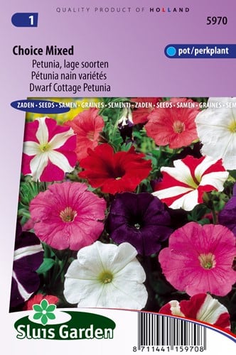 Petunia, lage soorten Choice Mixed