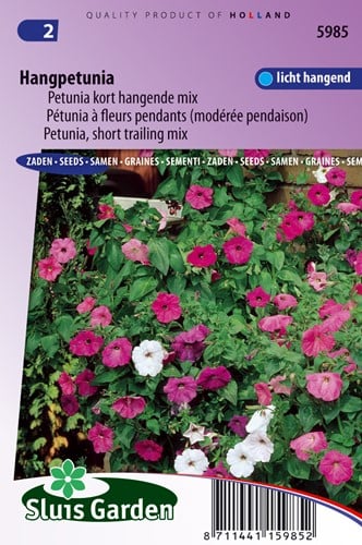 Petunia, kort hangende mix