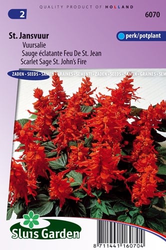 Salvia Sint Jansvuur