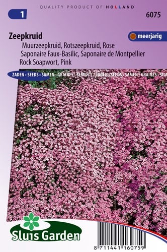 Zeepkruid Rose-Pink - Saponaria