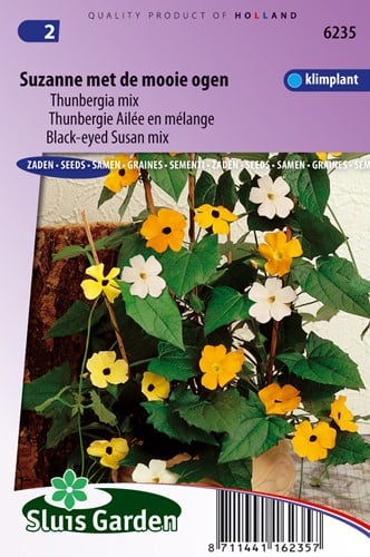 Suzanne met de mooie ogen alata gemengd (Thunbergia)