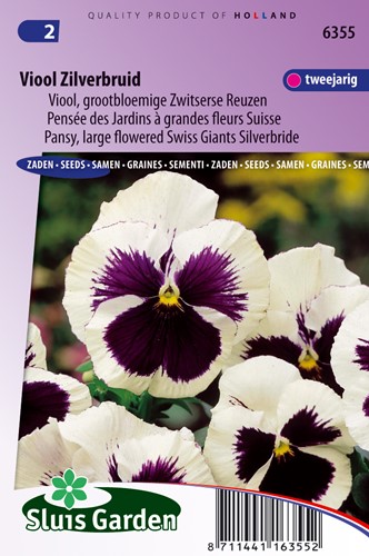Viool Zwitserze Reuzen Zilverbruid
