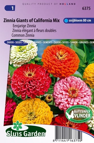 Zinnia Reuzen van California Mix