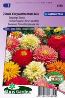 Zinnia Chrysanthemum mix