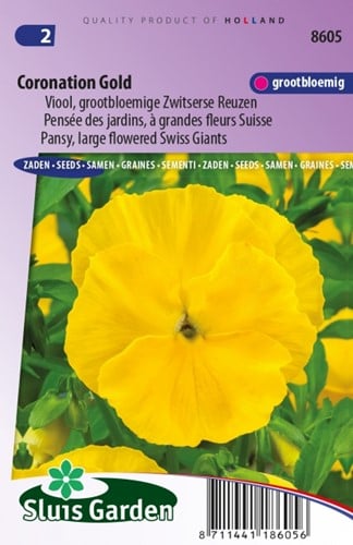 Viool Coronation Gold - Viola Wittrockiana