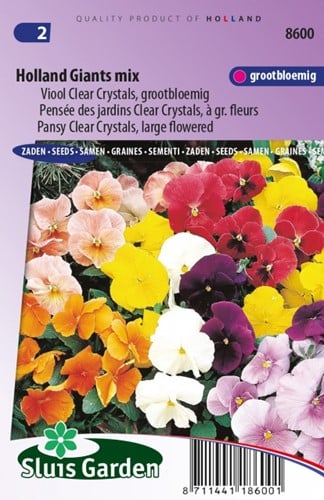 Viool Holland Giants Mix – Viola Clear Crystals