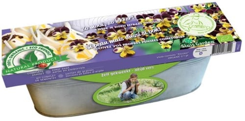 Zinken Teil Driekleurige Eetbaar Viooltje BIO