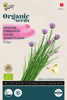 Biologische zaden Bieslook