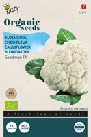 Bloemkool Goodman F1 BIO - Brassica oleracea