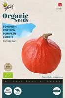 Biologische zaden Pompoen Uchiki Kuri