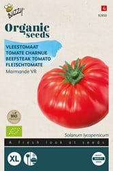 Bio Tomaat Marmande