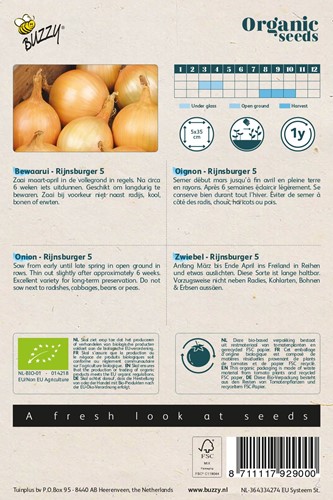 Bewaarui Rijnsburger 5 – Buzzy Organic Seeds-2