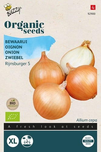 Bewaarui Rijnsburger 5 – Buzzy Organic Seeds
