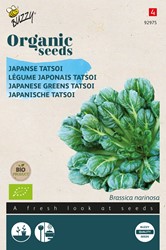 Bio Japanse Tatsoi